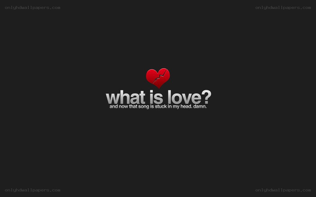 what is love song text