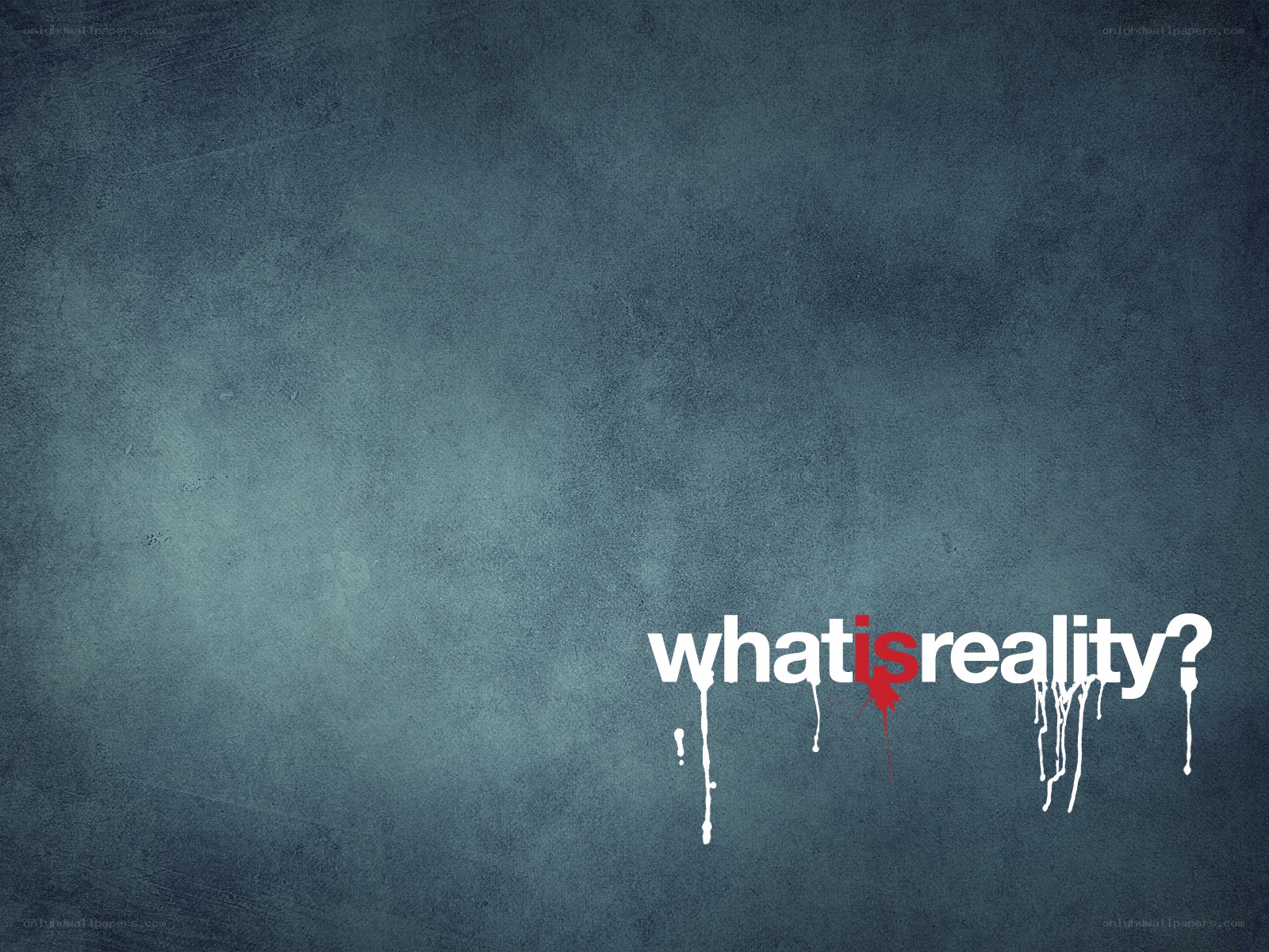 what is reality question