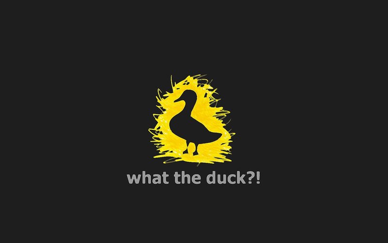 what the duck logo