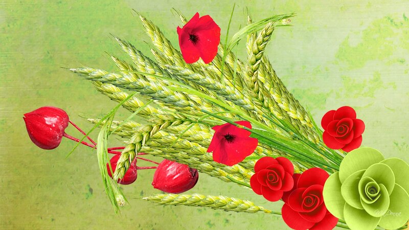 Wheat and Red Flowers