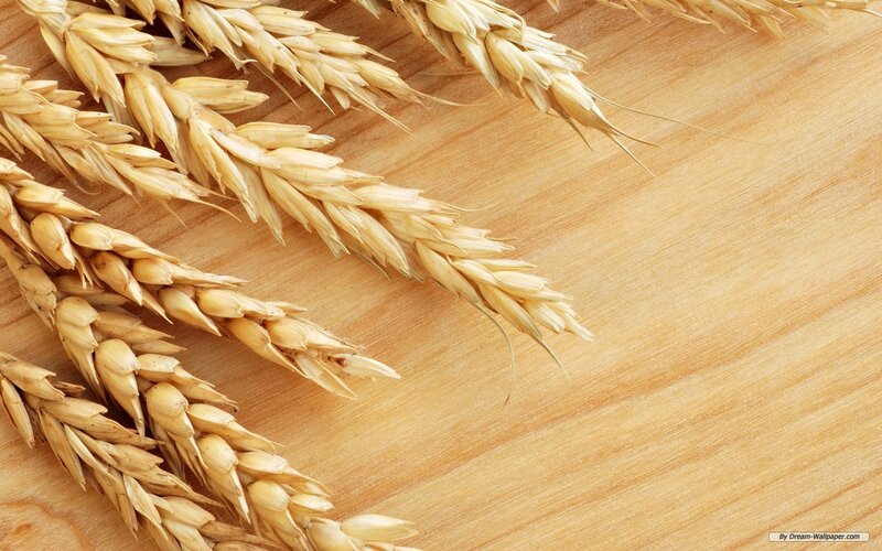 Wheat Ears on Wood