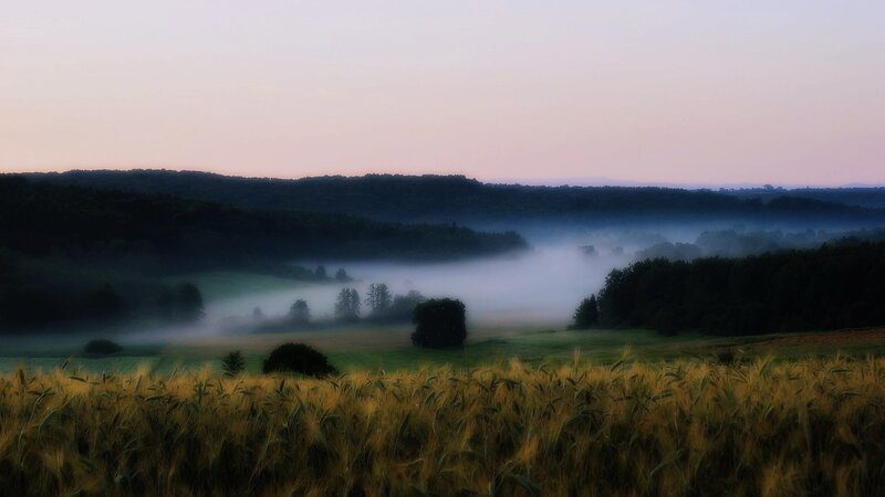 Wheat Field at Dawn — Yellow