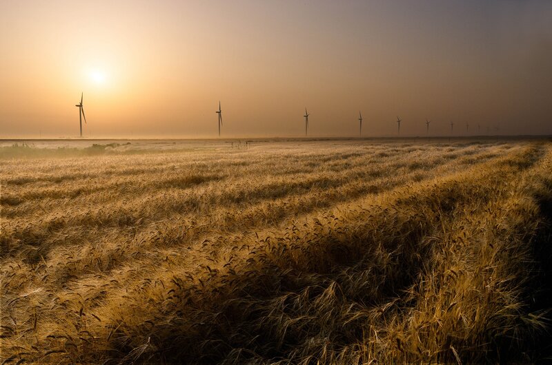Wheat Field at Sunrise — Gold, Serene, Photograph, Wind Turbines