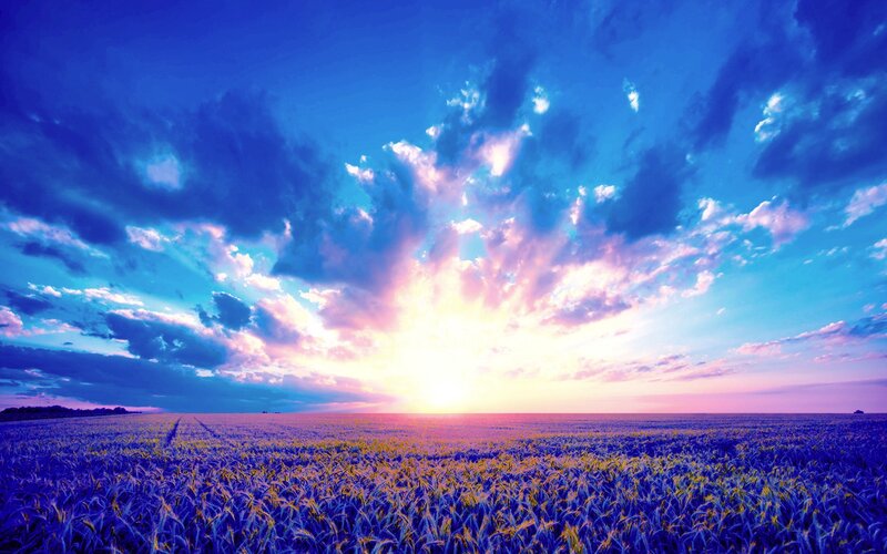 Wheat Field at Sunset — Blue, Dramatic, Photograph