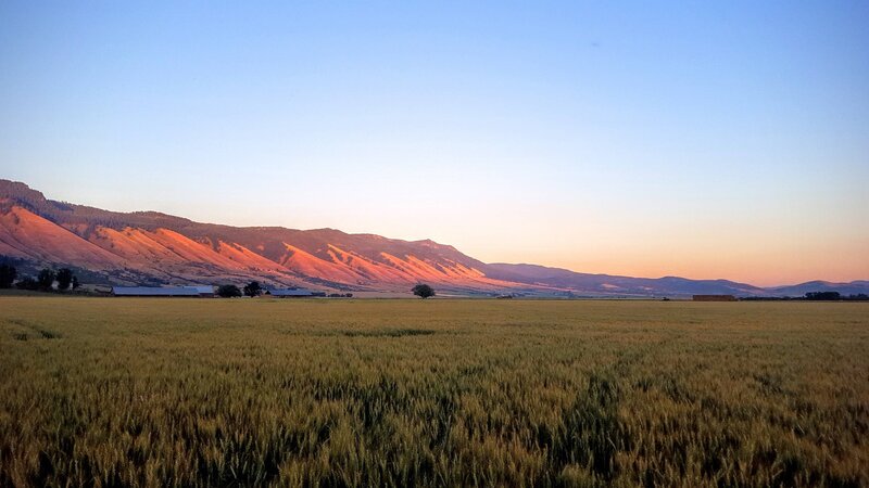 Wheat Field at Sunset — Blue, Serene, Photograph, Mountains