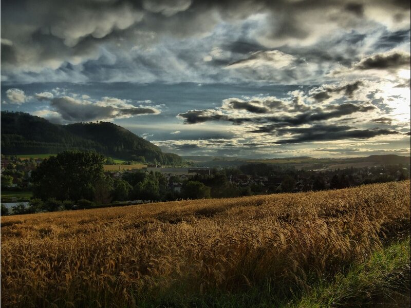 Wheat Field at Sunset — Brown, Dramatic, Photograph, Clouds, Hills