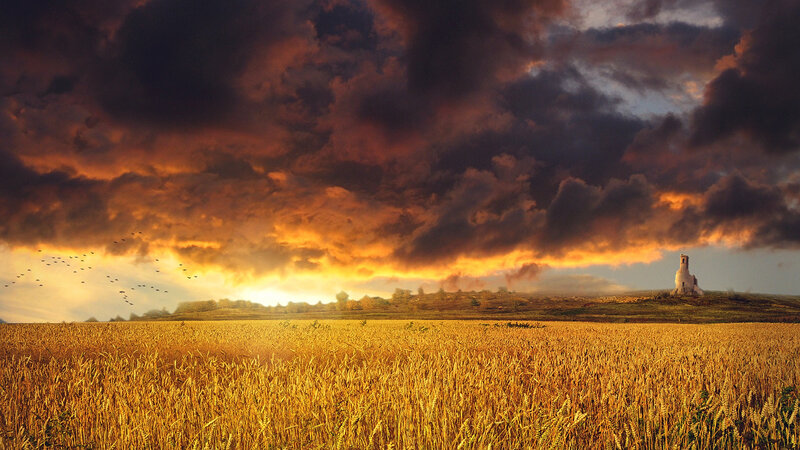 Wheat Field at Sunset — Gold, Dramatic, Digital Art