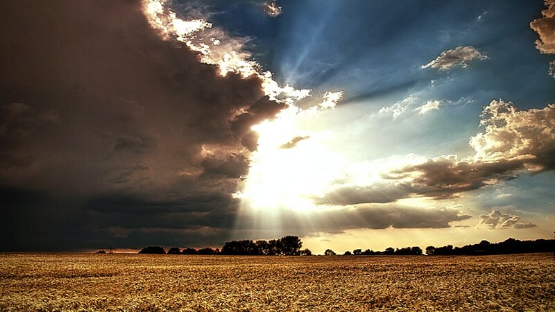 Wheat Field at Sunset — Gold, Dramatic, Photograph, Clouds, Sunlight, Trees