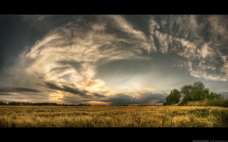 Wheat Field at Sunset — Gold, Dramatic, Photograph, Clouds, Trees