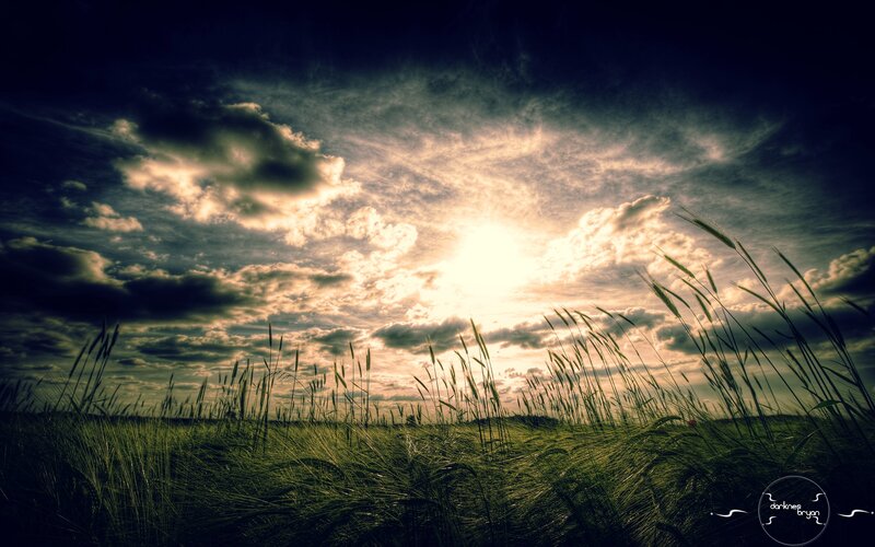 Wheat Field at Sunset — Green, Dramatic, Photograph, Sky, Clouds, Sun, Yellow