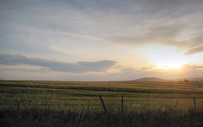 Wheat Field at Sunset — Green, Serene, Photograph, Sun, Clouds, Fence