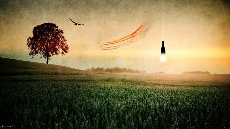Wheat Field at Sunset — Green