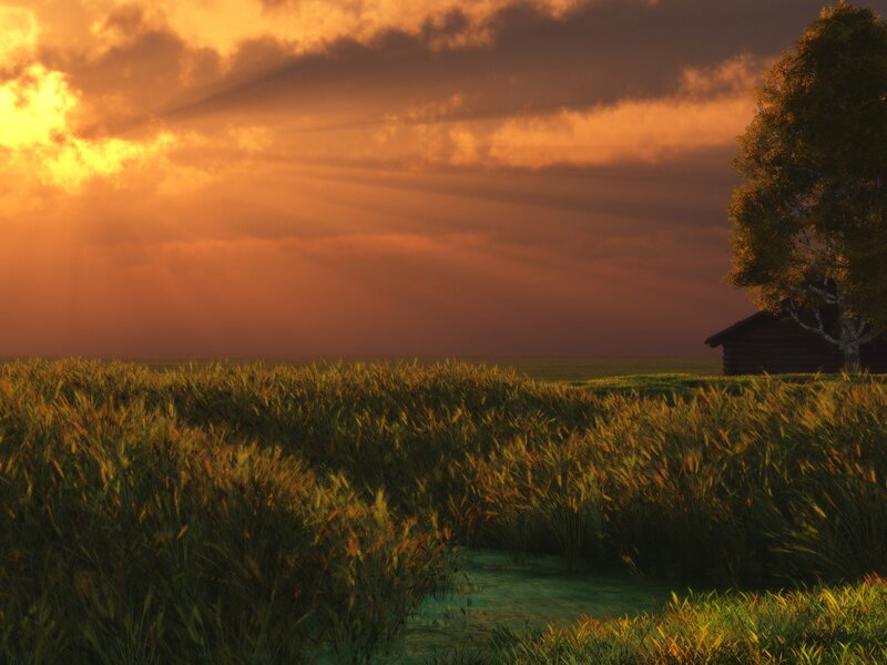 Wheat Field at Sunset — Orange, Dramatic, Digital Art, Tree, Cabin