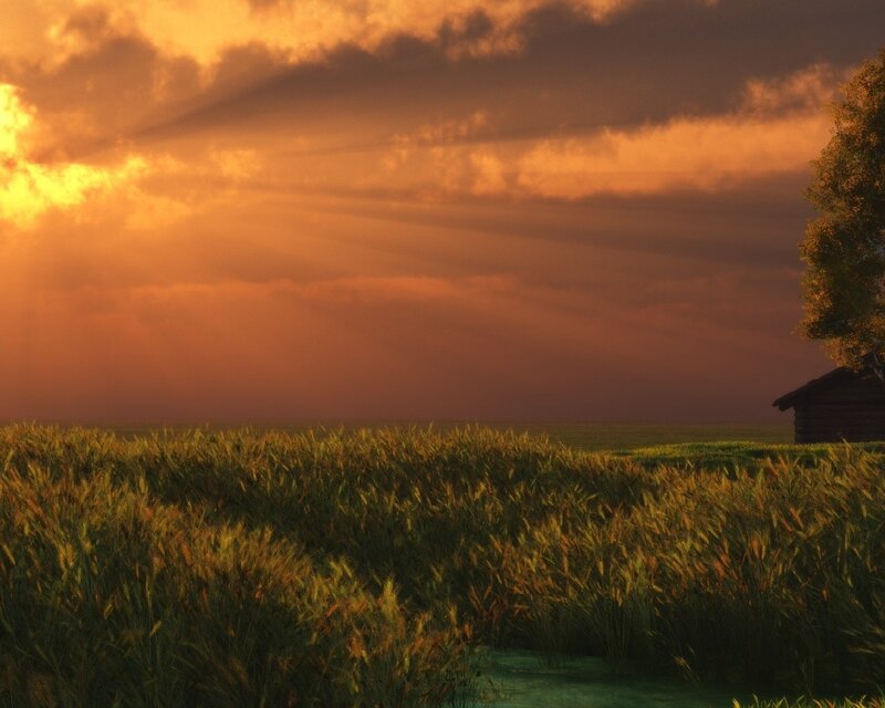 Wheat Field at Sunset — Orange, Dramatic, Digital Art, Tree