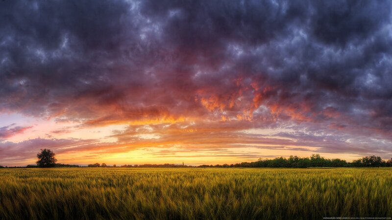 Wheat Field at Sunset — Orange, Dramatic, Photograph, Clouds, Tree, Horizon