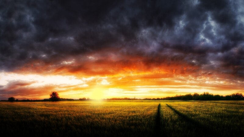 Wheat Field at Sunset — Orange, Dramatic, Photograph, Sky, Clouds, Tree