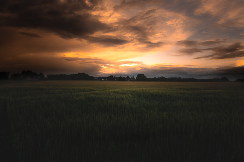 Wheat Field at Sunset — Orange, Dramatic, Photograph, Sky, Clouds, Trees