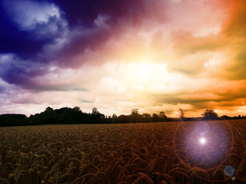 Wheat Field at Sunset — Orange, Dramatic, Photograph, Sun, Clouds