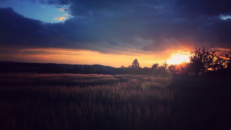 Wheat Field at Sunset — Orange, Dramatic, Photograph, Sun, Clouds, Trees