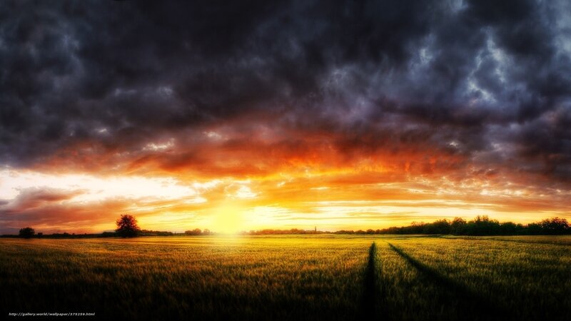 Wheat Field at Sunset — Orange, Dramatic, Photograph, Tree, Clouds