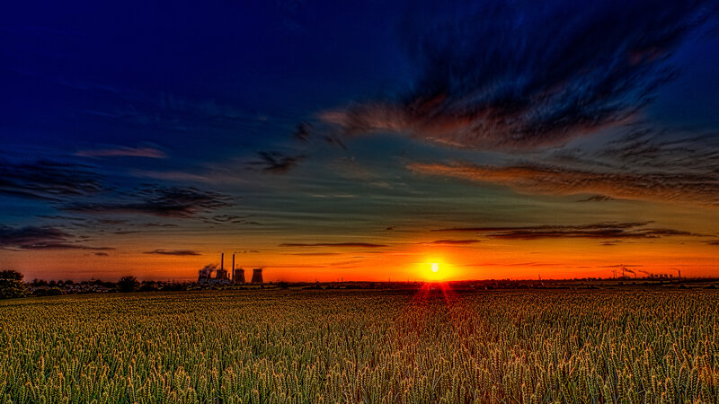 Wheat Field at Sunset — Orange, Dramatic
