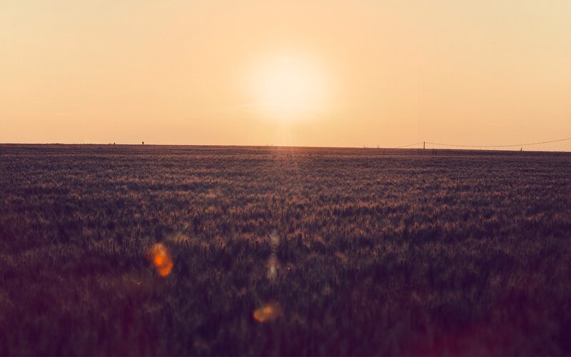 Wheat Field at Sunset — Orange, Serene, Photograph, Sun, Horizon, Purple