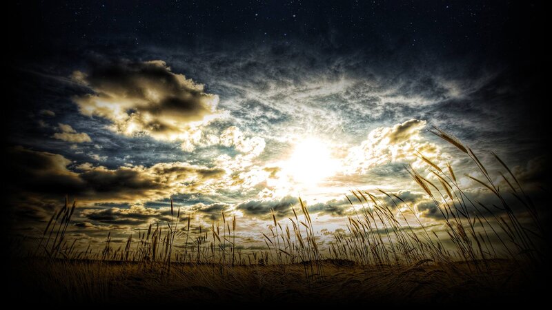 Wheat Field at Sunset — Yellow, Dramatic, Photograph, Sky, Clouds, Stars
