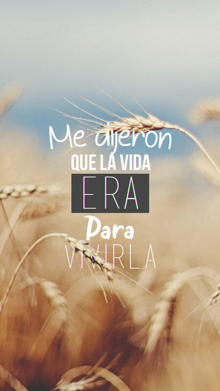 Wheat Field — Brown