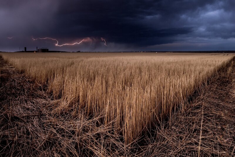 Wheat Field During Storm — Brown