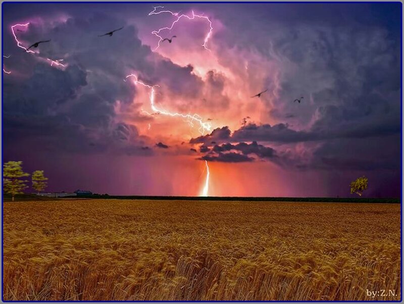 Wheat Field During Storm — Purple