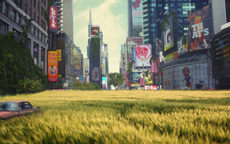 Wheat Field in City — Green