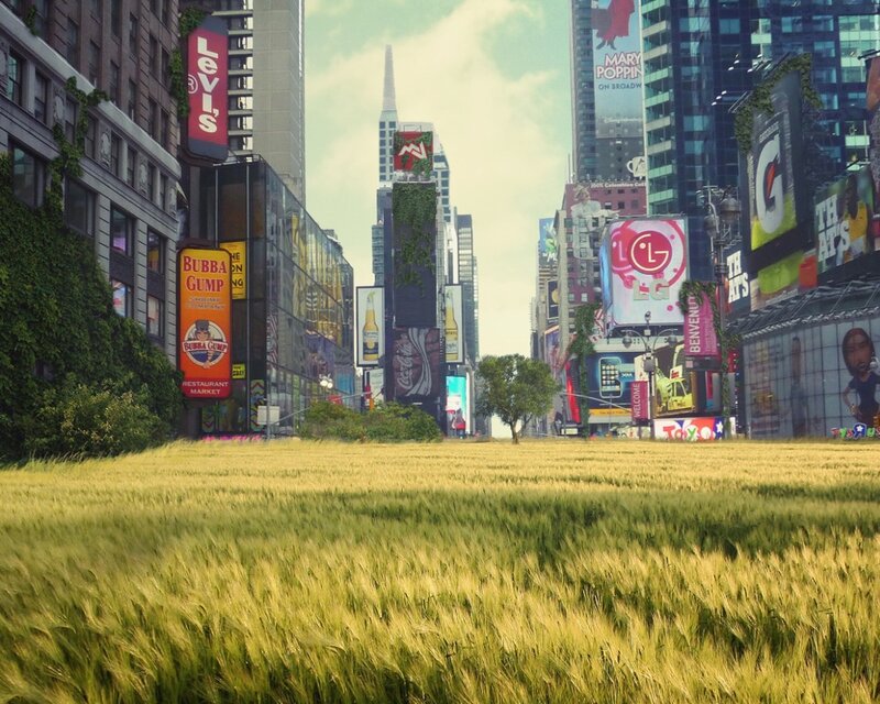 Wheat field in city