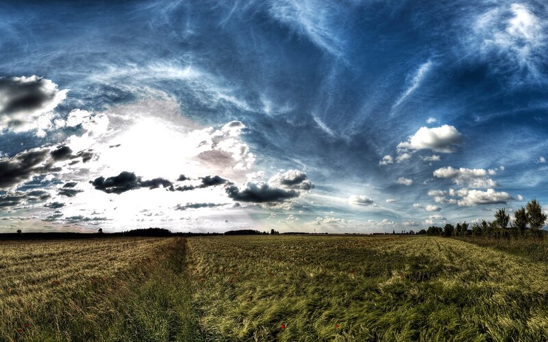Wheat Field under Cloudy Sky — Blue, Dramatic, Afternoon, Photograph, Clouds, Trees