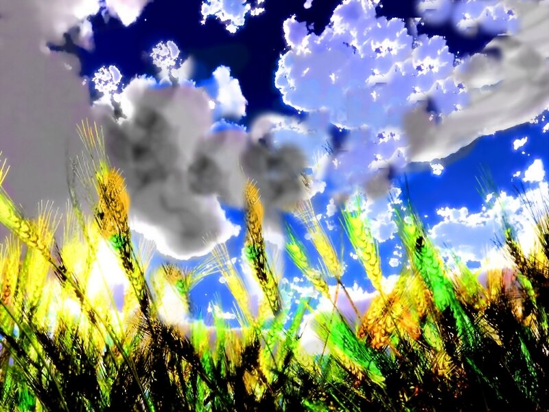 Wheat Field under Sky — Blue