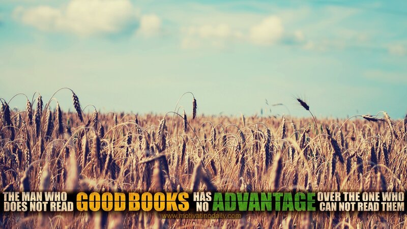 Wheat Field under Sky — Brown