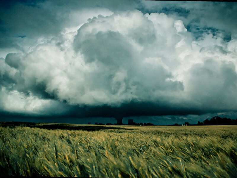Wheat Field under Storm Cloud