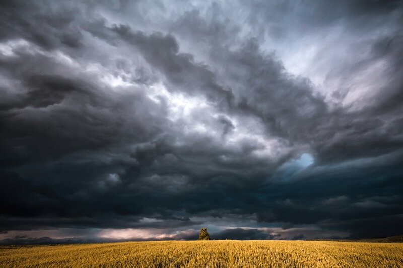 Wheat Field under Storm — Yellow