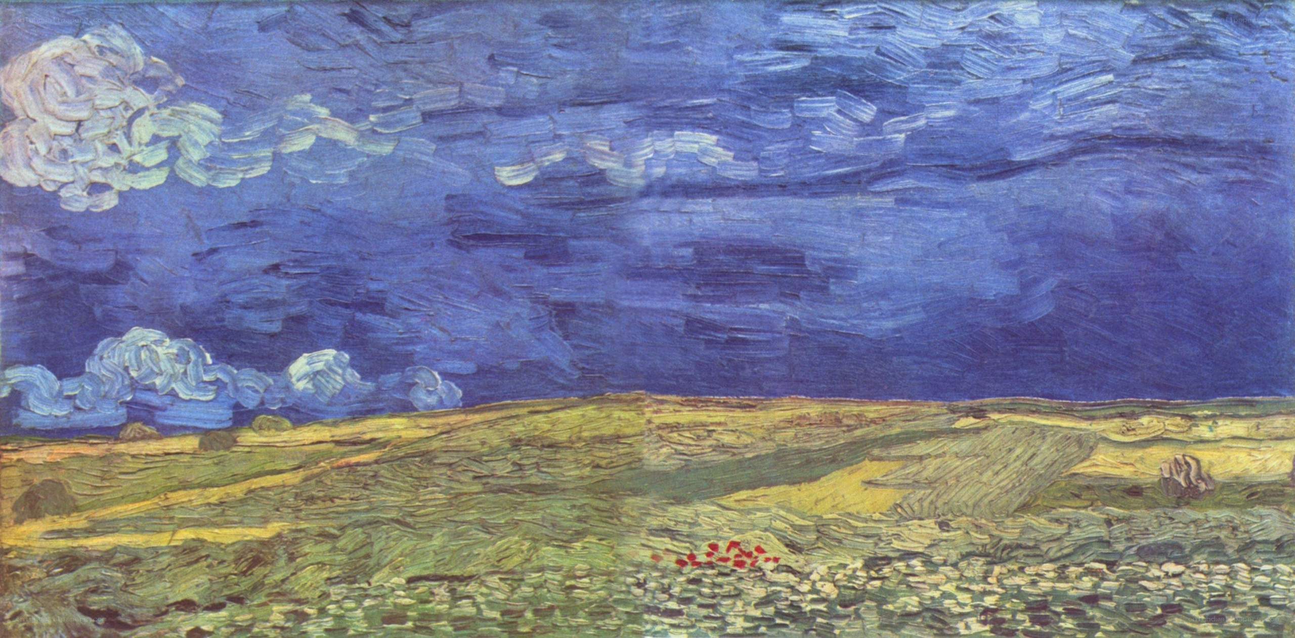 Wheat Field Under Stormy Sky