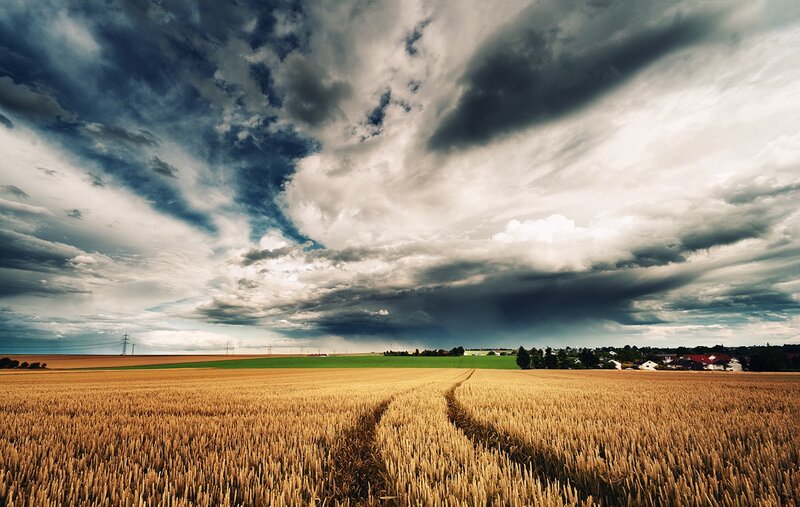 Wheat Field under Stormy Sky — Yellow, Dramatic, Afternoon, Photograph, Clouds