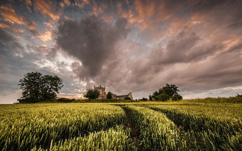 Wheat field with church at sunset