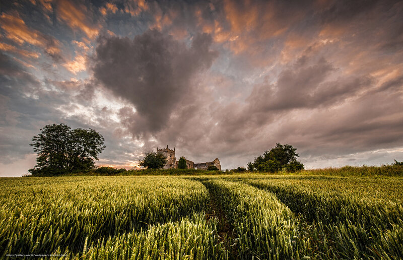 Wheat field with church at sunset