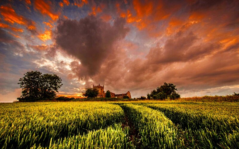 Wheat Field with Church