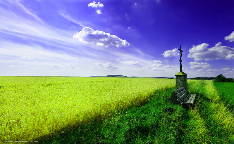 Wheat field with cross and bench