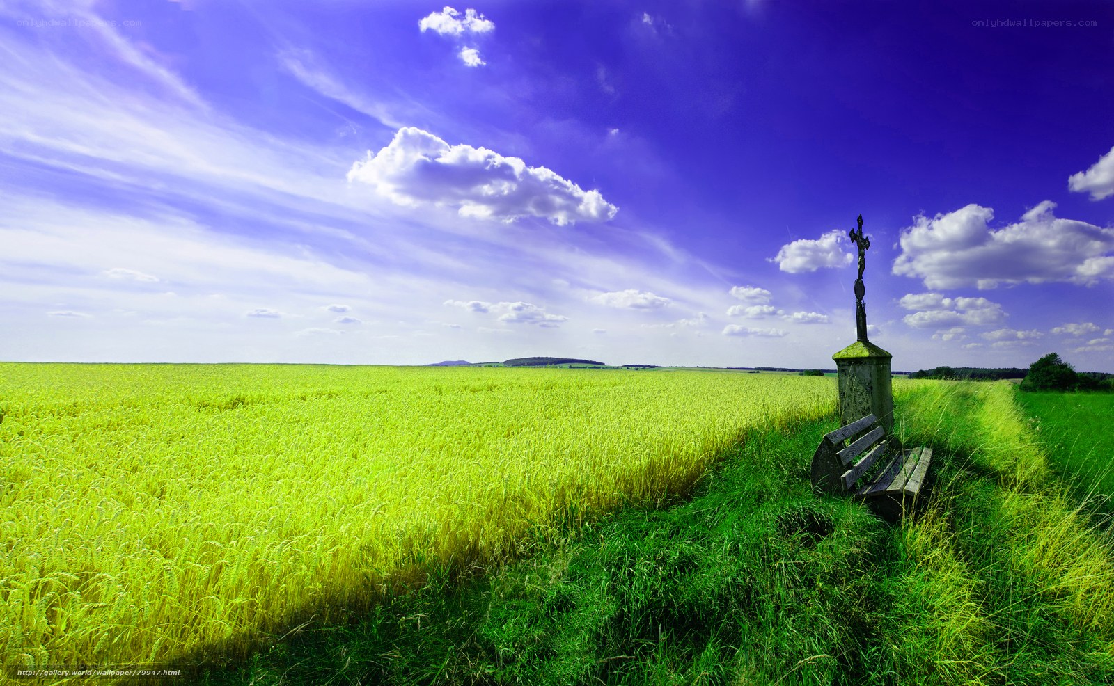 Wheat field with cross and bench