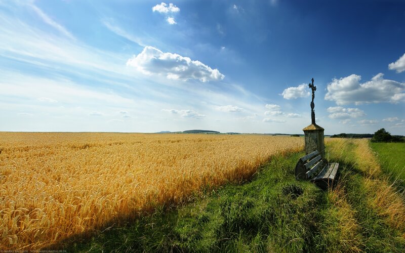Wheat Field with Cross — Blue