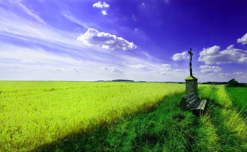 Wheat Field with Cross — Green