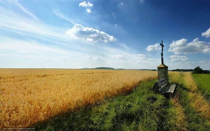 Wheat field with cross