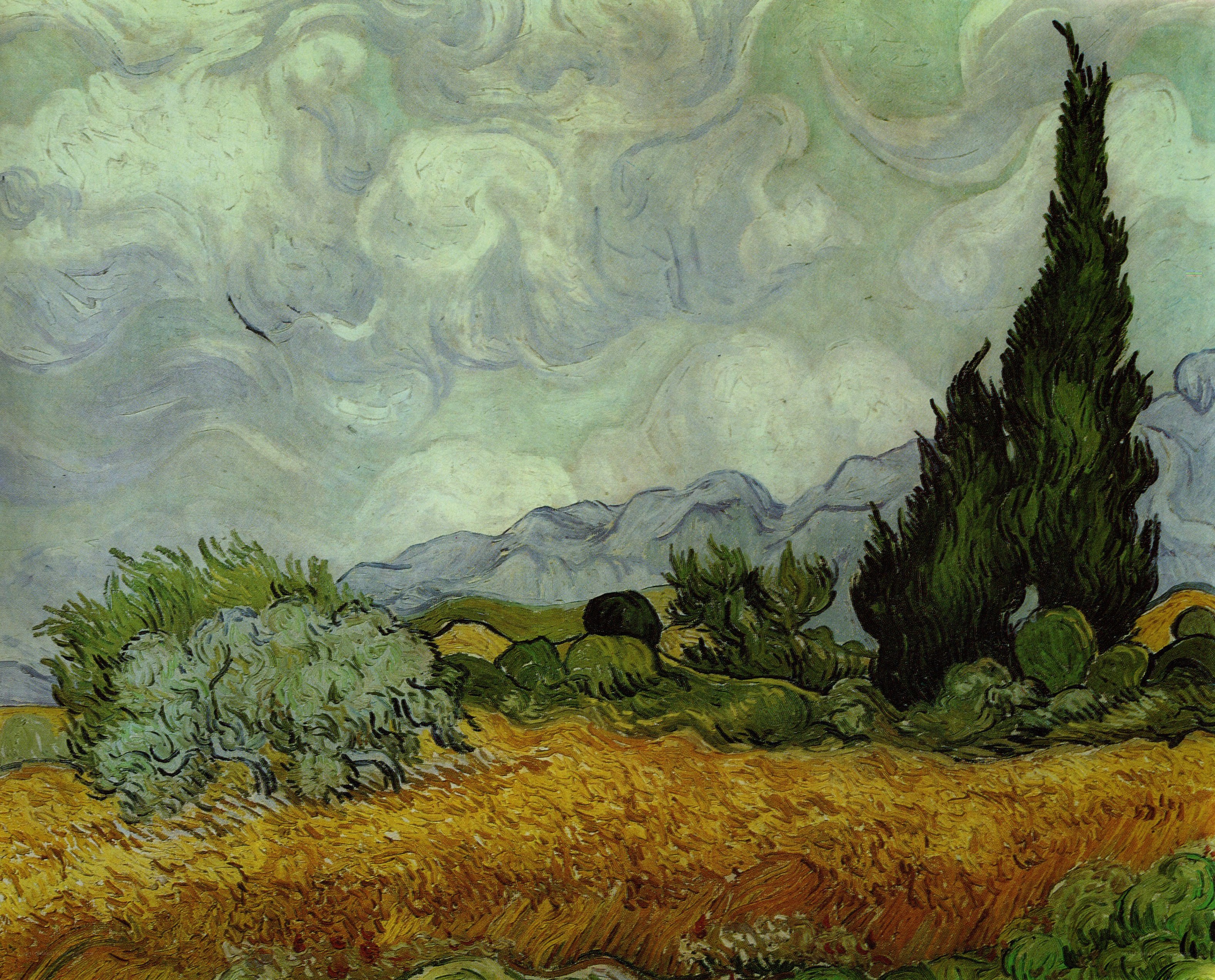Wheat Field with Cypresses