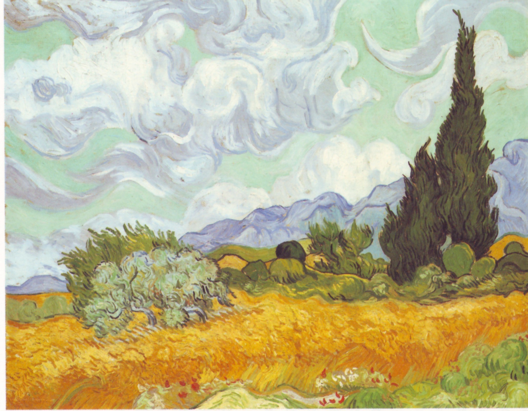 Wheat Field with Cypresses