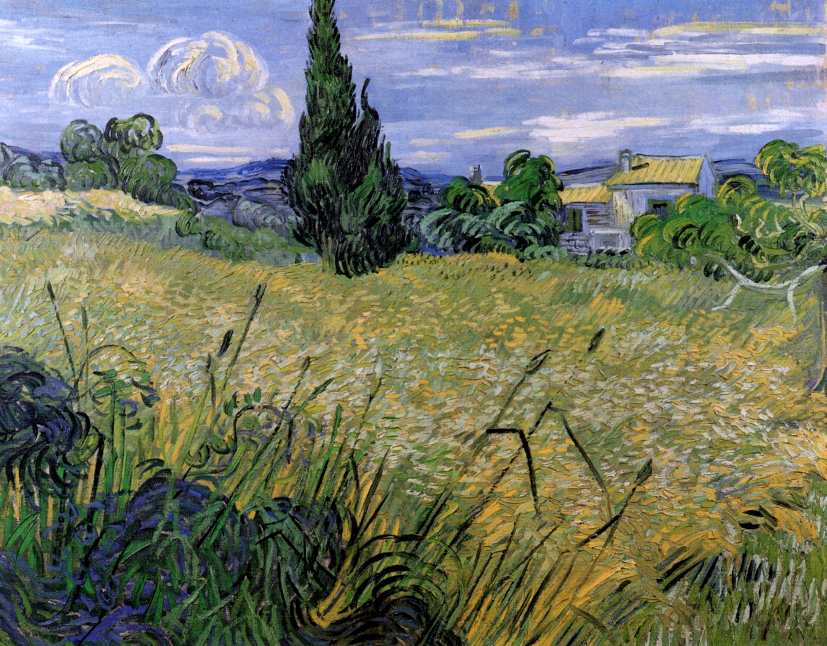 Wheat Field with Cypresses